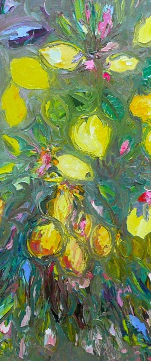 The Olive Grove by Lesley Blackburn