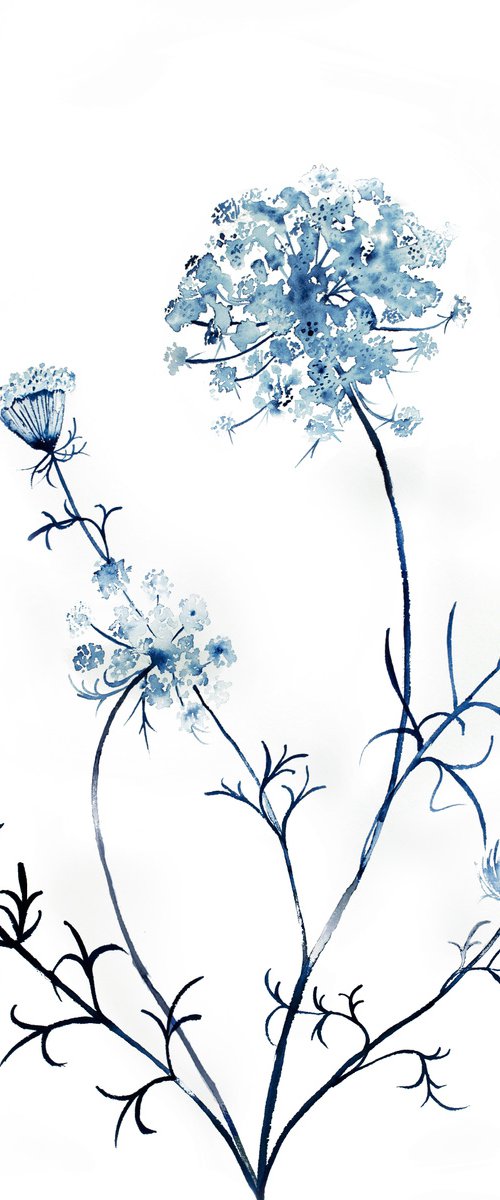 Queen Anne's Lace No. 15 by Elizabeth Becker