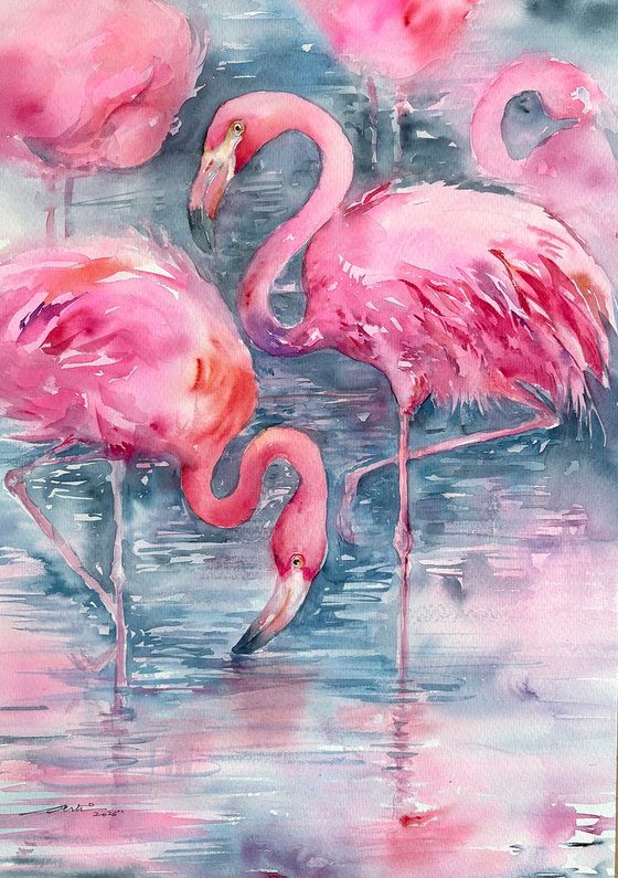 Flamingo Lagoon