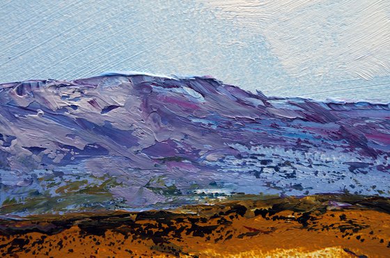 LANDSCAPE-55