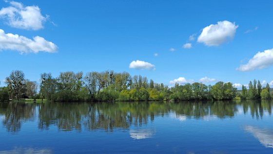 Reflets dans la Seine