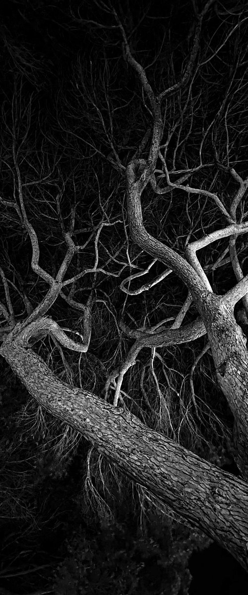 NT#174 Summer Night #4 by Mattia Paoli