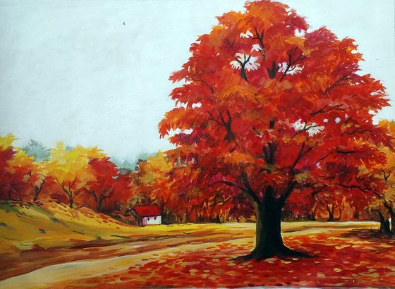 Beauty of Autumn Landscape