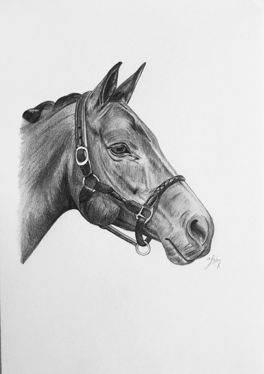 Horse no 2 by Amelia Taylor