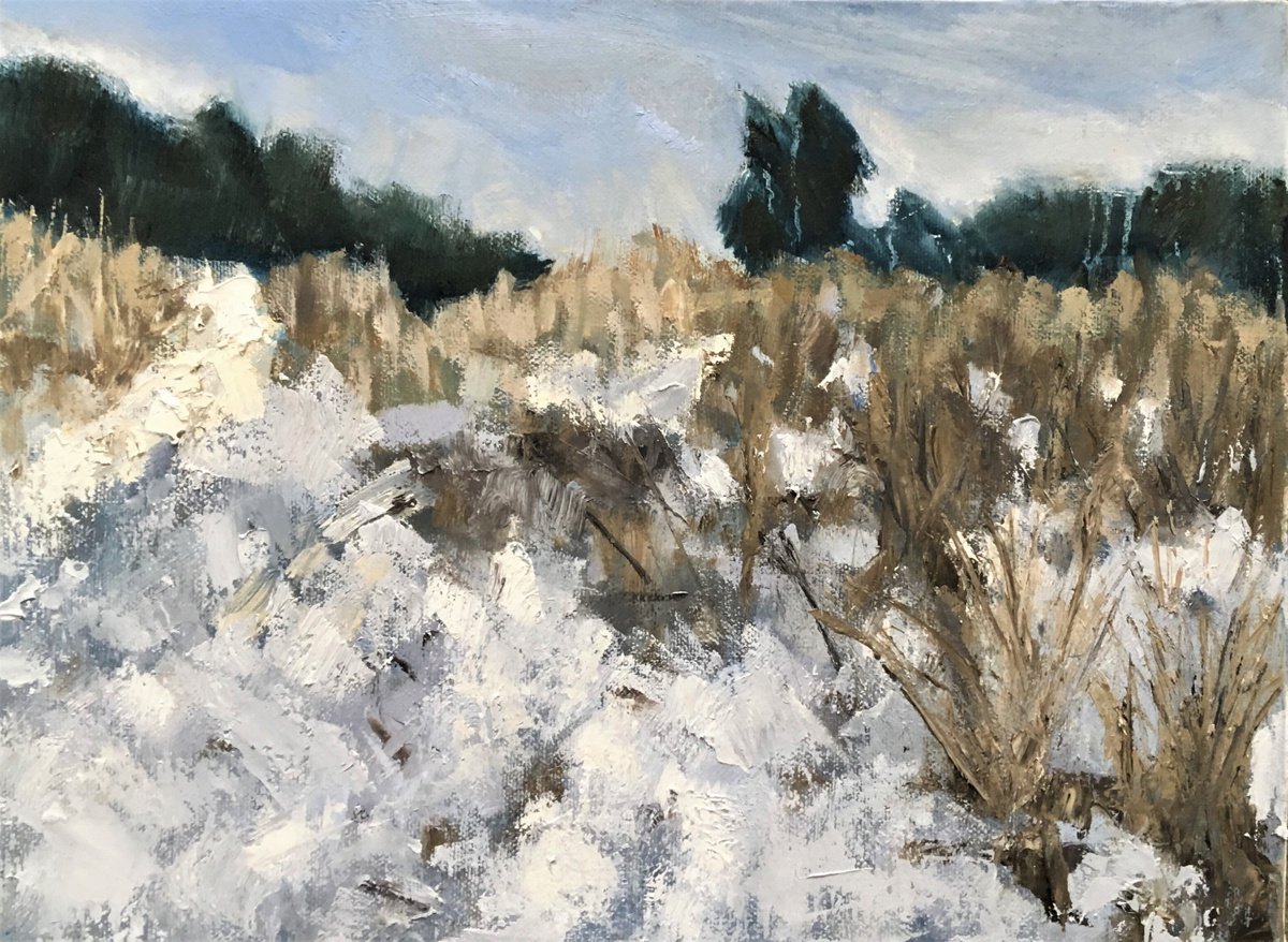 Snow, Evergreens and Grasses by Nikki Wheeler
