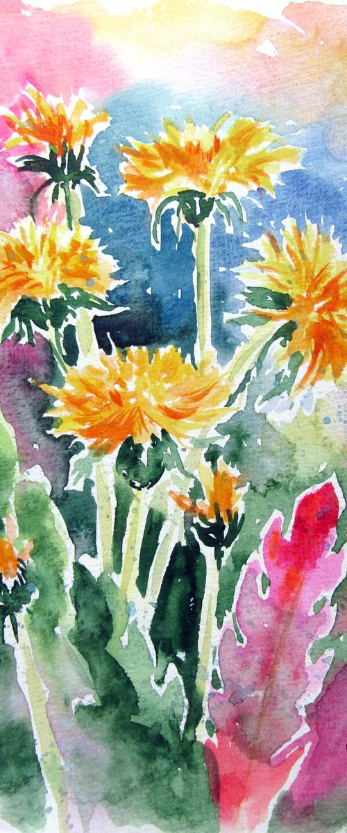 Dandelions by Kovács Anna Brigitta