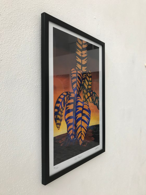 Blue Phoenix, Framed, Signed and Numbered Limited Edition Print