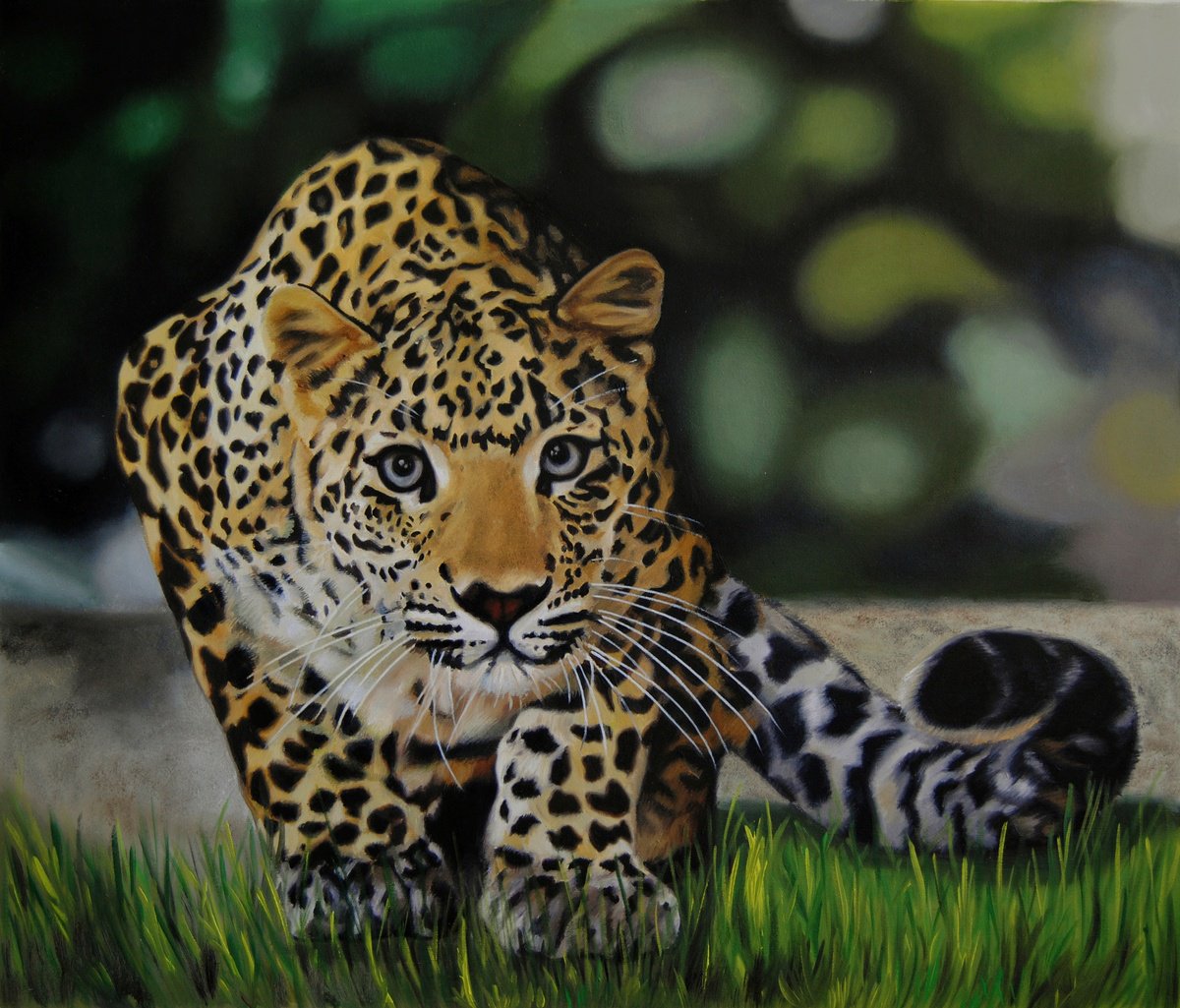 Photorealistic Animal Oil Painting By Simona Tsvetkova, 28 X 24", Leopard, Original Artwork