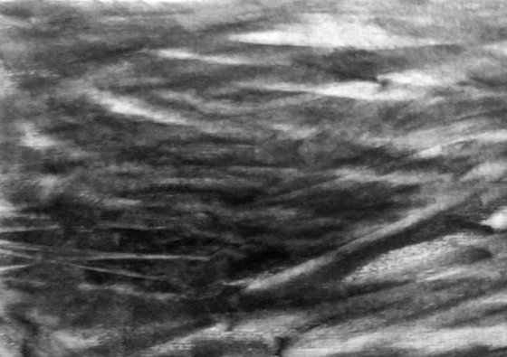 River Flow Patterns