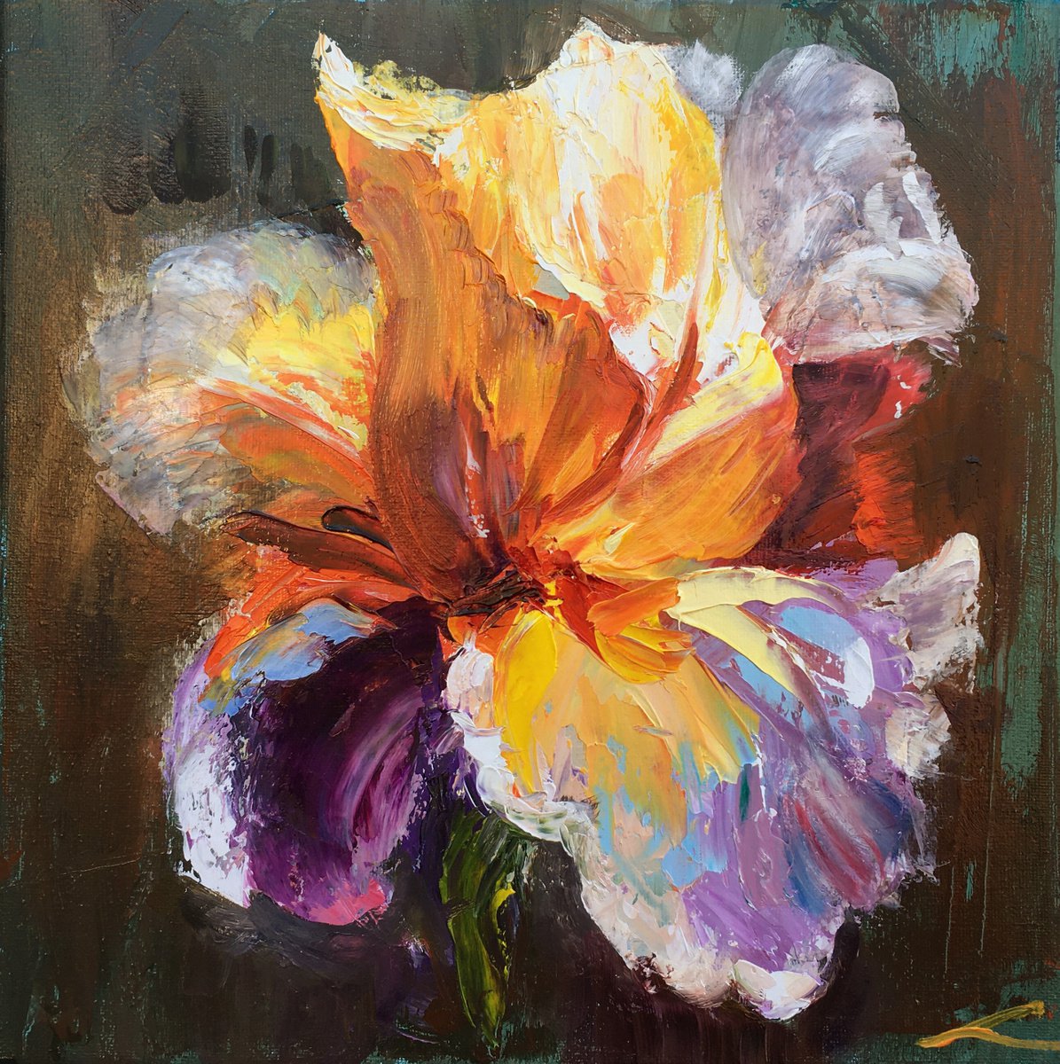 Impressionistic Botanical Oil Painting By Elena Sokolova, 12 X 12, Iris, Original Artwork