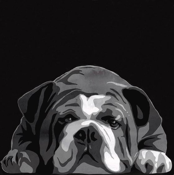 BULLDOG- MODERN WALL ART