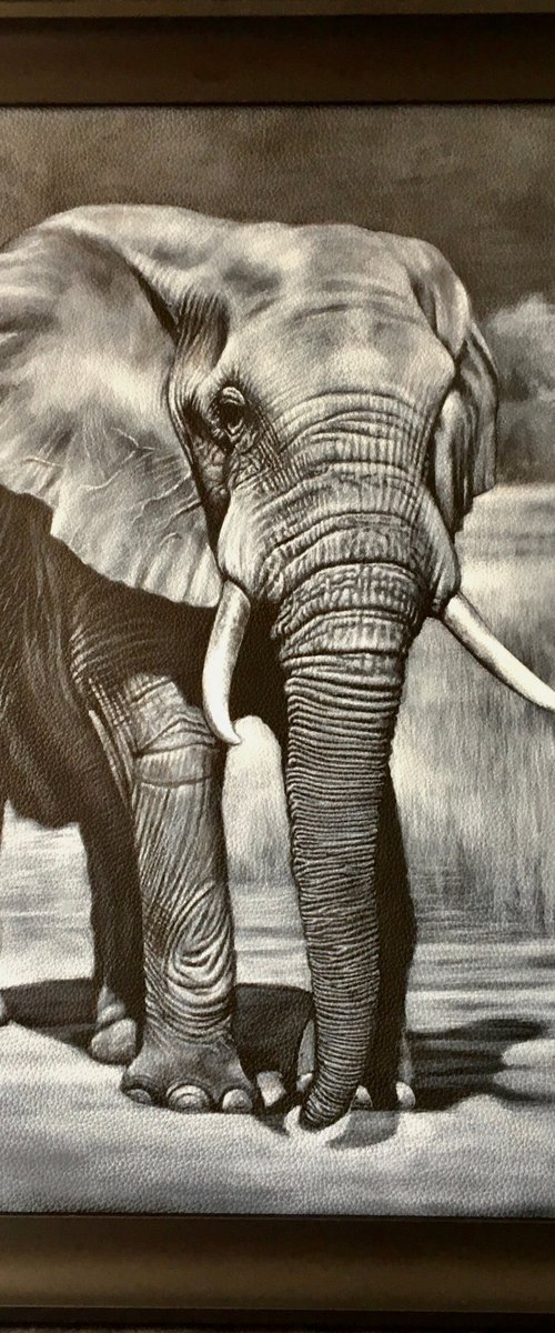Elephant Night Walker by Karl Hamilton-Cox