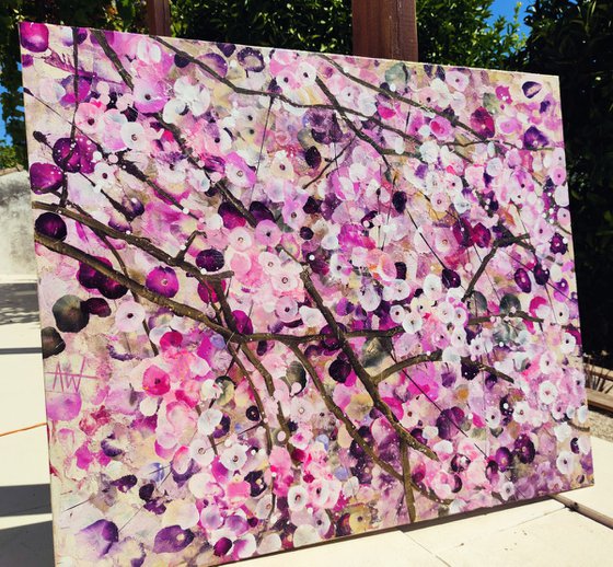 Cherry Blossom Serenade