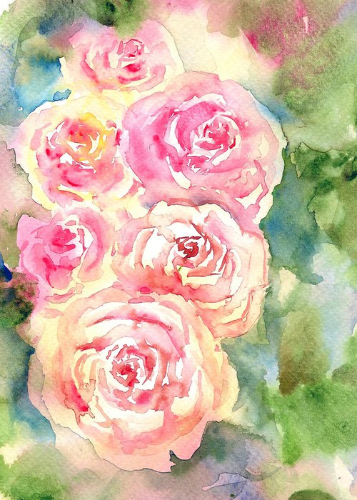 Pink English Roses by Asha Shenoy