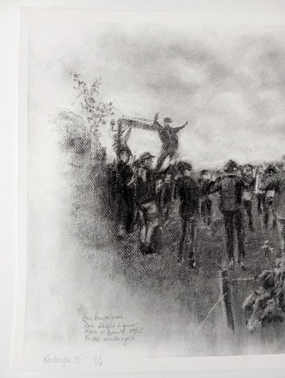 Vendanges 15