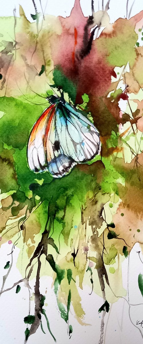 Beautiful butterfly by Kovács Anna Brigitta