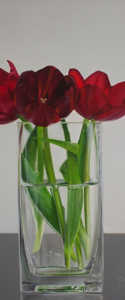 Tulips II by Carlos Bruscianelli