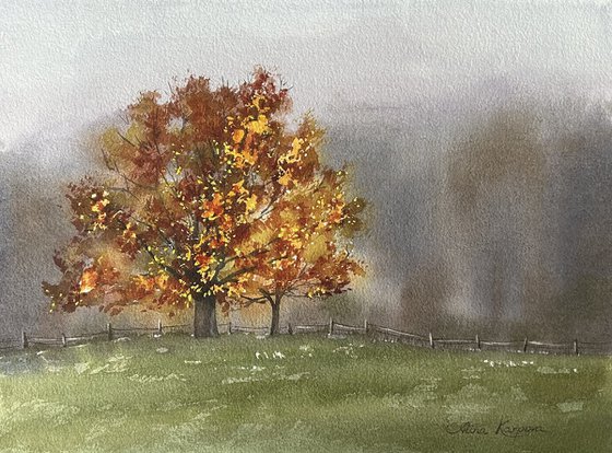 Autumn tree