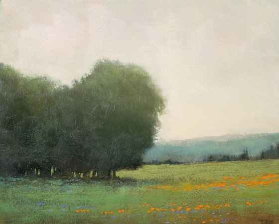 Oak Trees And Poppies