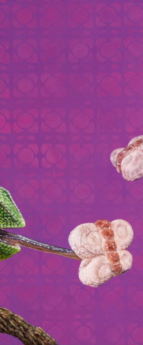 The Candy Hunter by Claudia Daminato