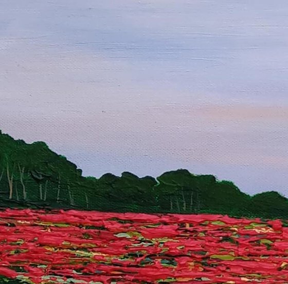 Poppy Fields and Faraway Sky