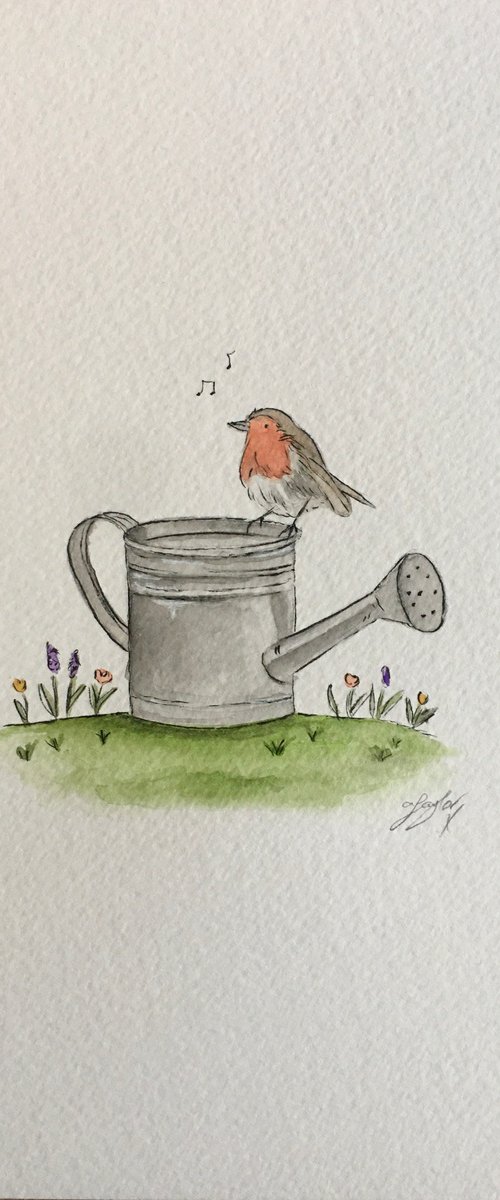 Robin by Amelia Taylor