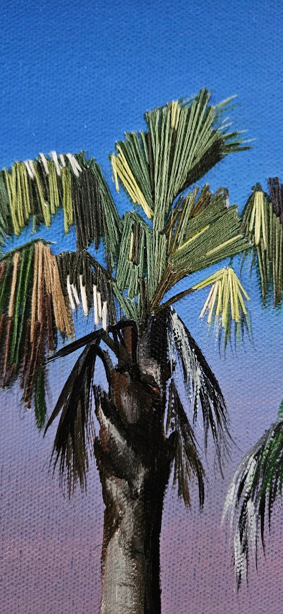 Palm Trees