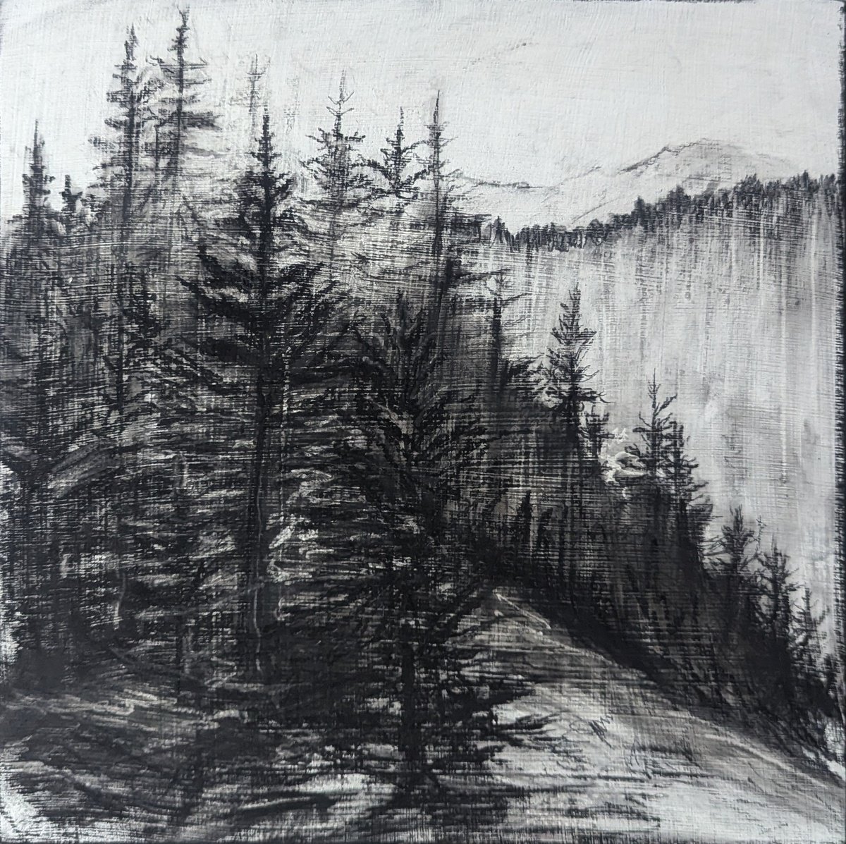 Photorealistic Landscape Charcoal Drawing By Sophie Adair, 12 X 12", The Pines, Original Artwork
