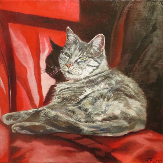 Ghibli sunbathing, Portrait of a Grey Cat