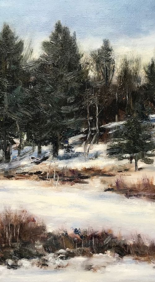 Winter in New Hampshire by Douglas Philipon