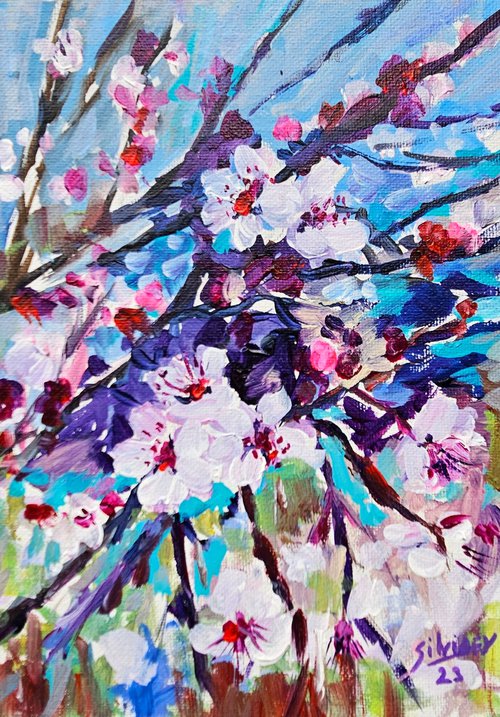 Plum blossom by Silvia Flores Vitiello