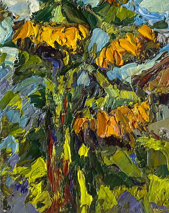 Sunflowers near the house