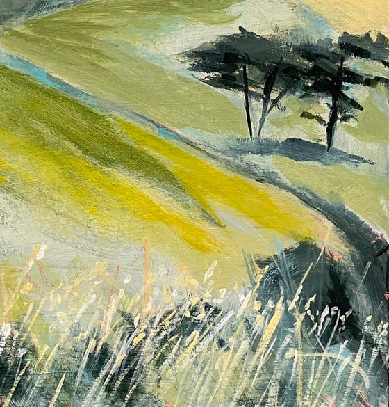 Late Summer Fields