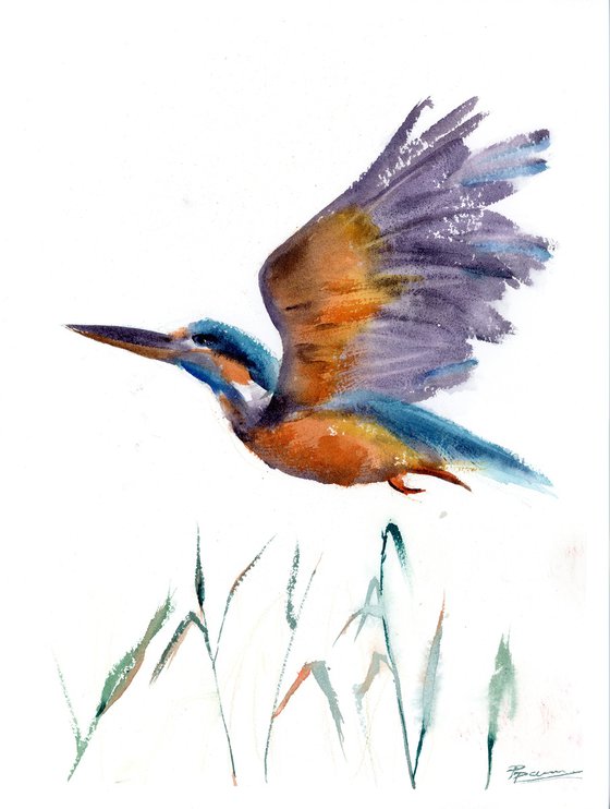 Flying Kingfisher  -  Original Watercolor Painting by Olga Shefranov