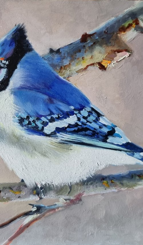 "Beauty with a tuft. " bird jay 2021 by Anna Bessonova (Kotelnik)