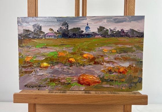 Autumn has Come to the Pumpkin Field