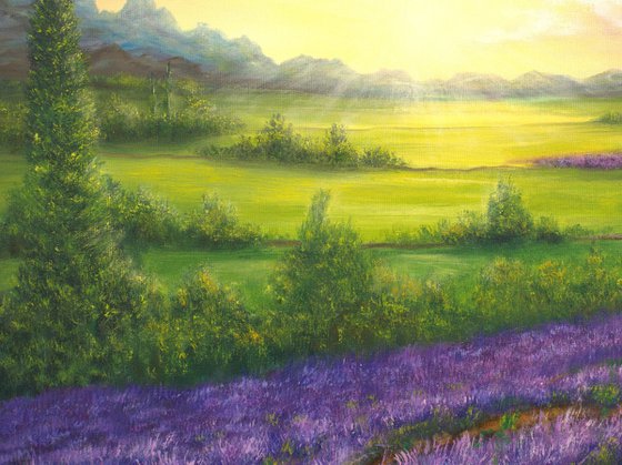 Lavender field
