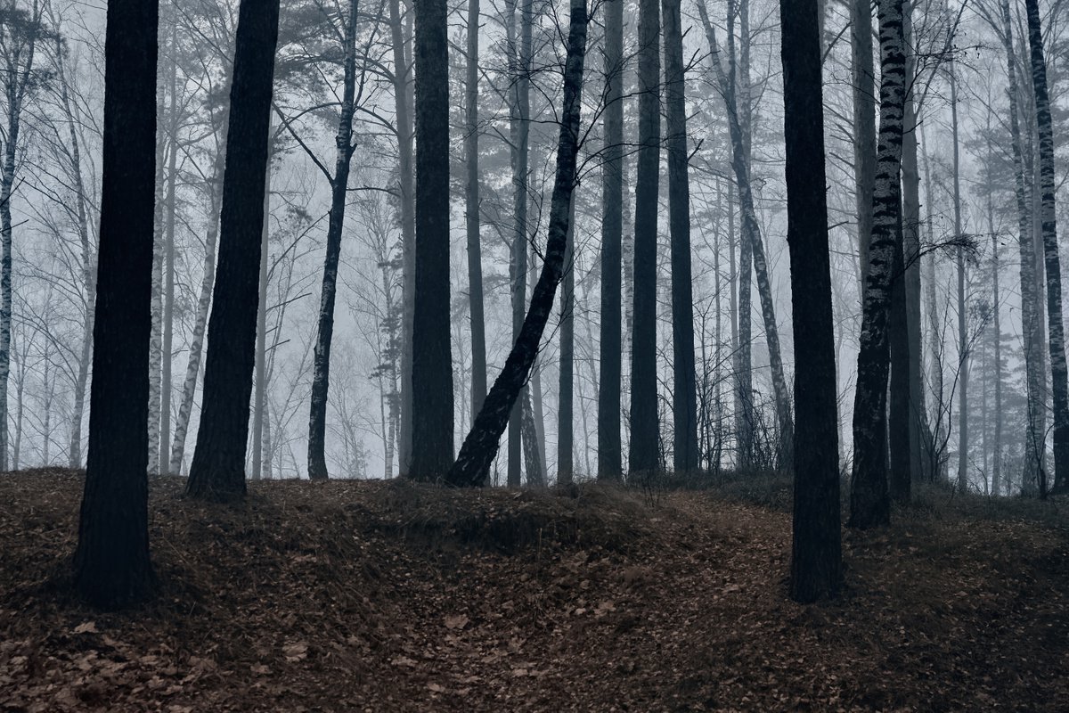 Fog #5 by Oleg Chumakov