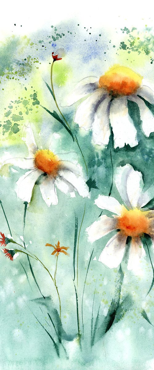 Daisies flowers (2 of 2) - Original Watercolor Painting by Olga Tchefranov (Shefranov)