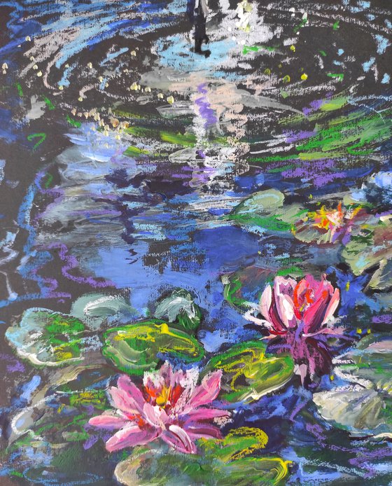 Small lilies in the water