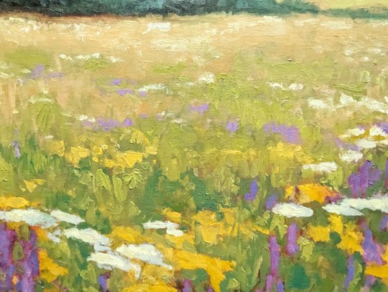 Wildflower Meadow