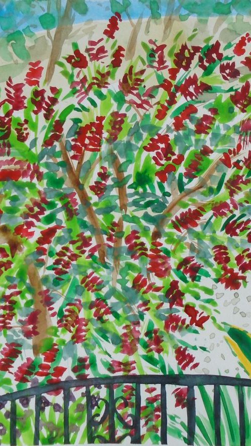 Spanish garden with bottle brush tree by Kirsty Wain