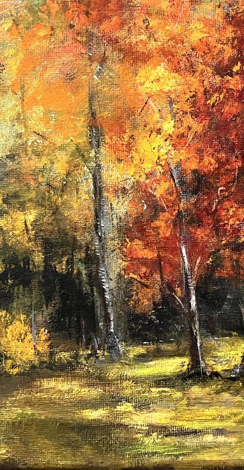 A new view by Carolyn Shoemaker (Soma)