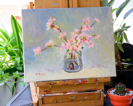 Cherry Blossom