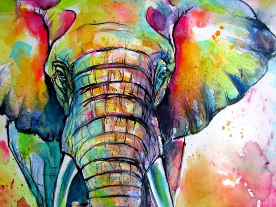 Majestic colorful elephant II