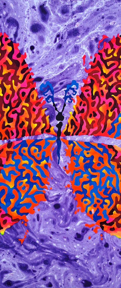 Butterfly «Tropical Sunset» by Mariia Raskin