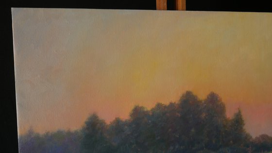 Sunset Over The Fireweed Field - summer painting landscape