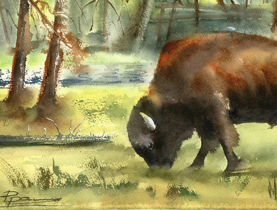 Bison in the Forest