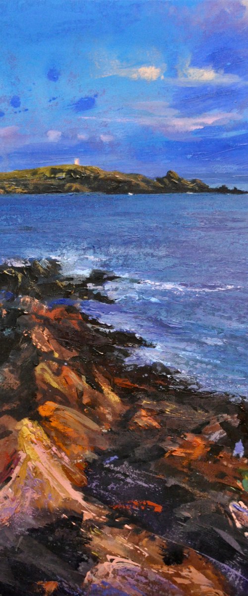 ROCKY SHORE, ISLE OF WHITHORN by KEVAN MCGINTY
