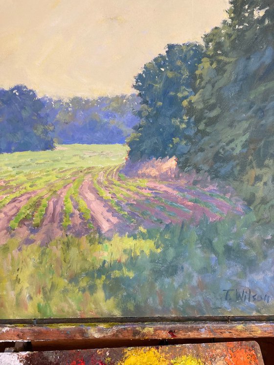 July Morning Vaughan Ms